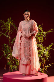 3 Piece - Embroidered Organza Suit - F-06