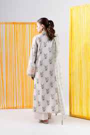 3 Piece - Printed & Embroidered Lawn Suit - MLD2-04