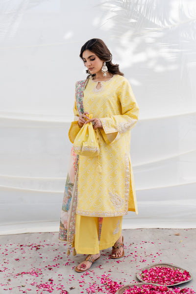 3 Piece - Embroidered Lawn Suit - MKV2-2